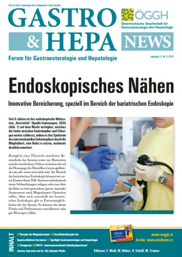  Gastro 319