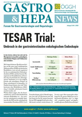 Gastro-News