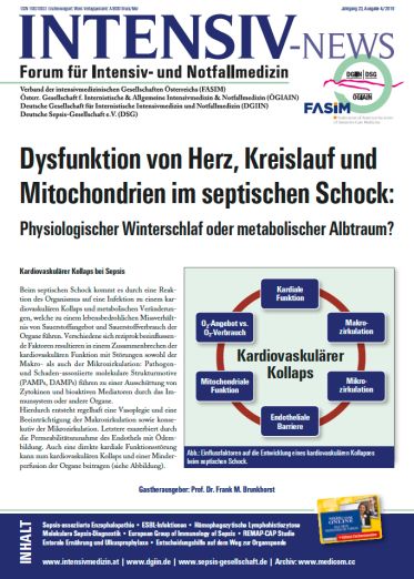  Ausgabe 4/19