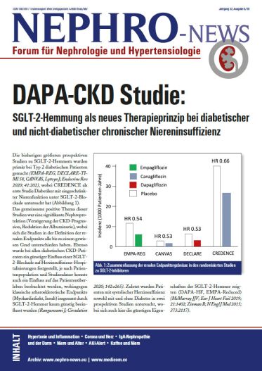  Ausgabe 6/20