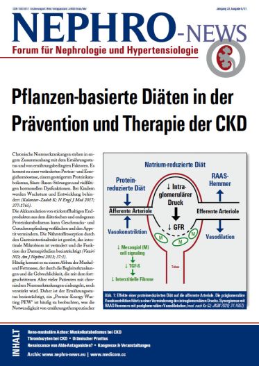  Ausgabe 6/21